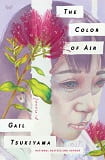 The color of air : a novel