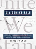 "Divided We Fall book cover."