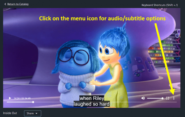 Screenshot showing menu for audio and subtitle options.
