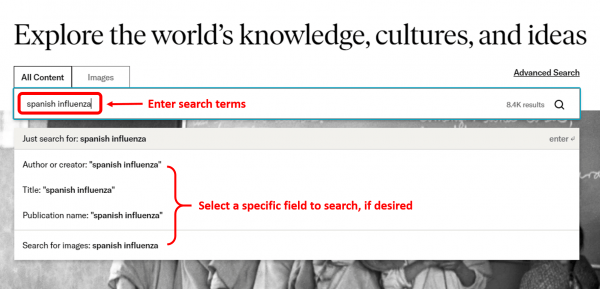 Screenshot showing JSTOR basic search.